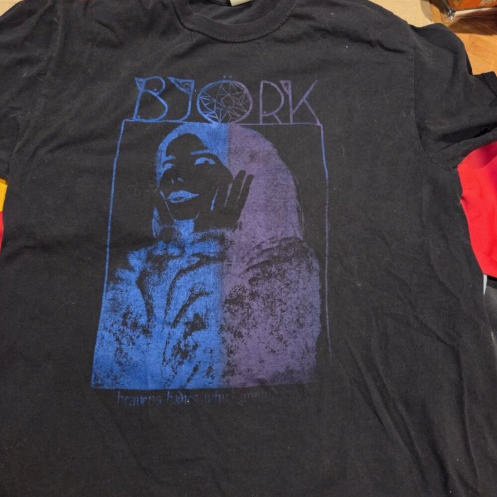 Björk Artist Graphic T-Shirt Indie Alternative Music Band Tee